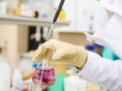 formulaciones-especificas