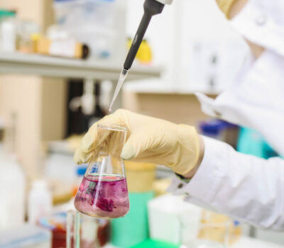 formulaciones-especificas